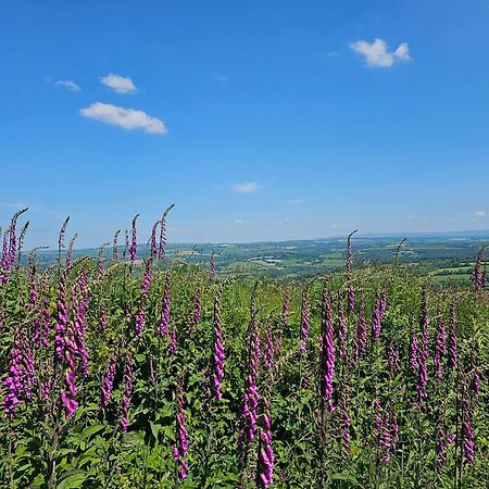 Summit Camping Kit Hill Cornwall Panoramic Views Grass Pitch From 15Pn Or Bella Bell Tent 75Pn Callington エクステリア 写真