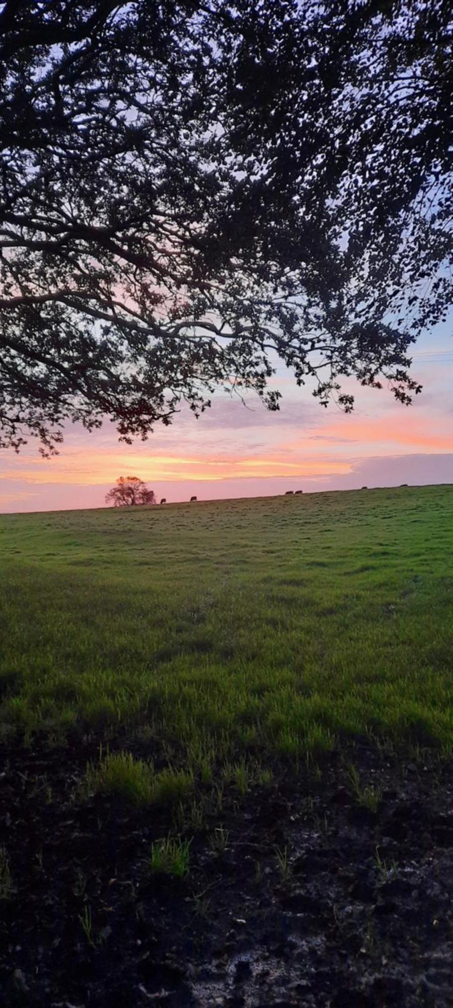 Summit Camping Kit Hill Cornwall Panoramic Views Grass Pitch From 15Pn Or Bella Bell Tent 75Pn Callington エクステリア 写真